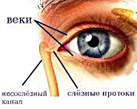 что такое глазные камни. Смотреть фото что такое глазные камни. Смотреть картинку что такое глазные камни. Картинка про что такое глазные камни. Фото что такое глазные камни
