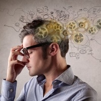 Мозг млекопитающих тоже обладает способностью к селективной памяти Мозг млекопитающих тоже обладает способностью к селективной памяти